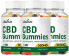 Choice CBD Gummies 13.png