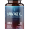 sauvagexland