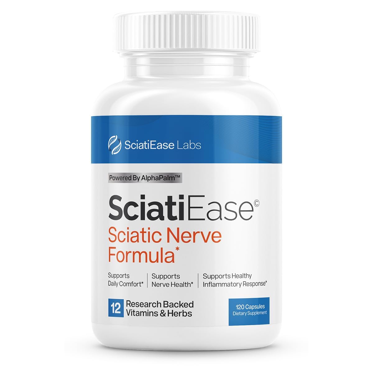 SciatiEase Sciatic Nerve Health Support Supplement - Nerve Support Formula  with AlphaPalm, Pea, Vitamin B Complex, Alpha Lipoic Acid 300mg - 120  Capsules: Buy Online at Best Price in UAE - Amazon.ae