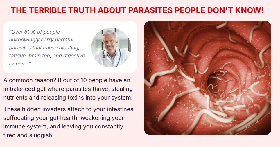 Para911 Parasite Cleanse