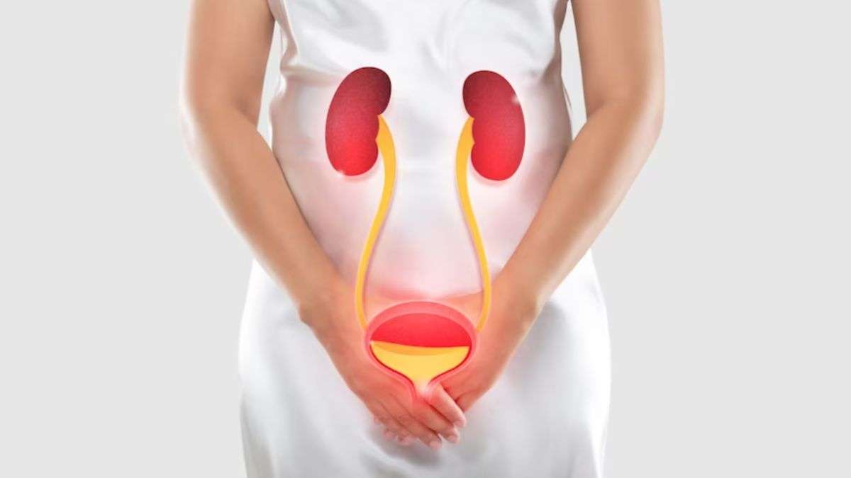 Effortless tips for maintaining a healthy bladder | Health News – India TV Effortless tips for maintaining a healthy bladder | Health News – India TV