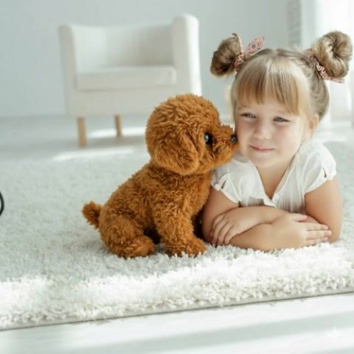 blog.mycareindia.co.in