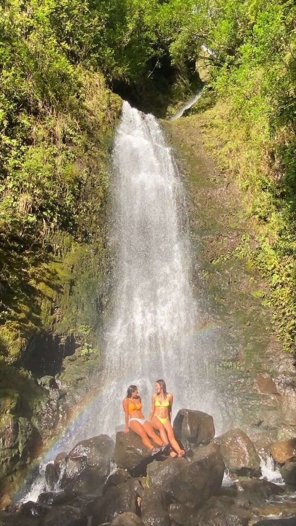wanderlog.com