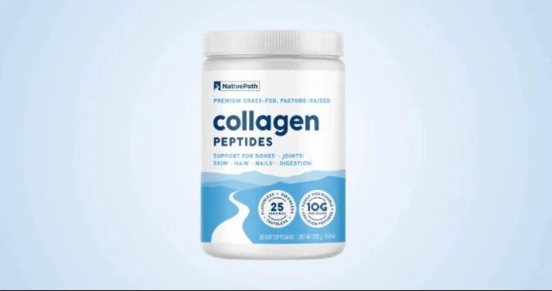 site-sy8gt1cog.godaddysites.com