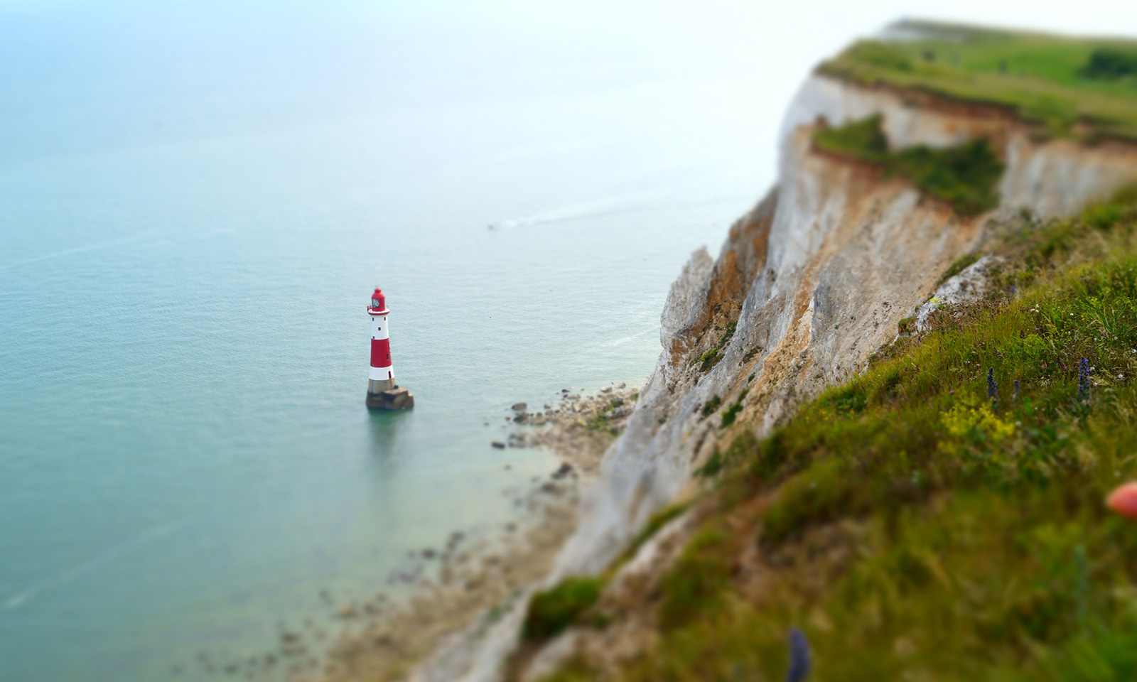 discountedpharmacy.amebaownd.com