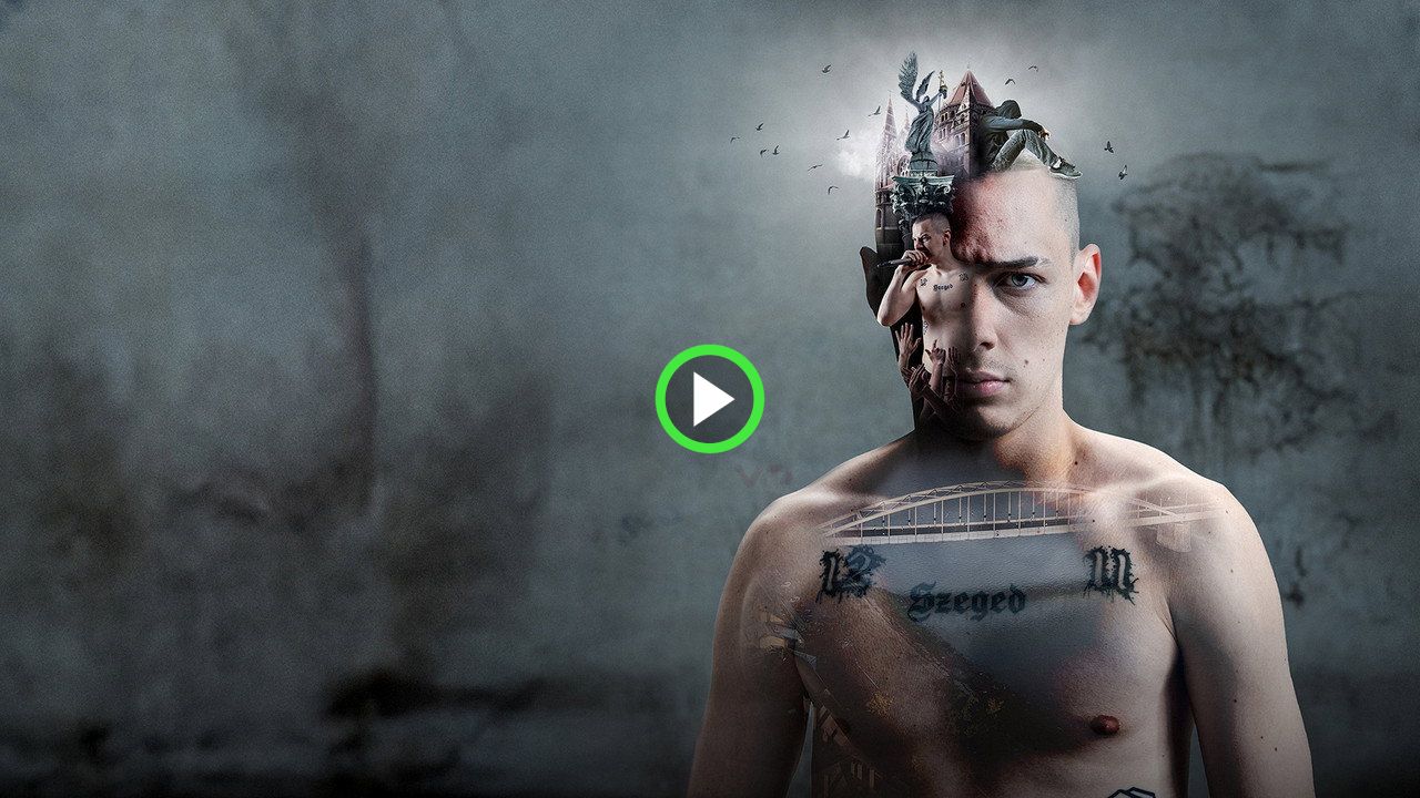 fanlink.tv