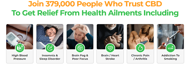 https://dinkhabar.com/greennaturecbdgummies-buy https://dinkhabar.com/greennaturecbdgummies-buy