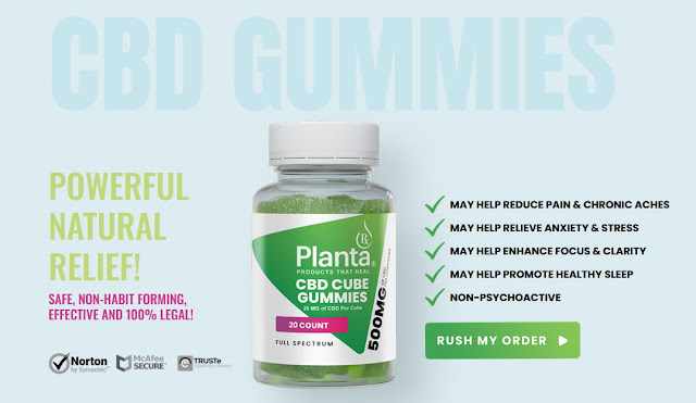 Planta RX CBD Gummies 500mg – What Trending Report Says? - Zen Studios Forums Planta RX CBD Gummies 500mg – What Trending Report Says? - Zen Studios Forums