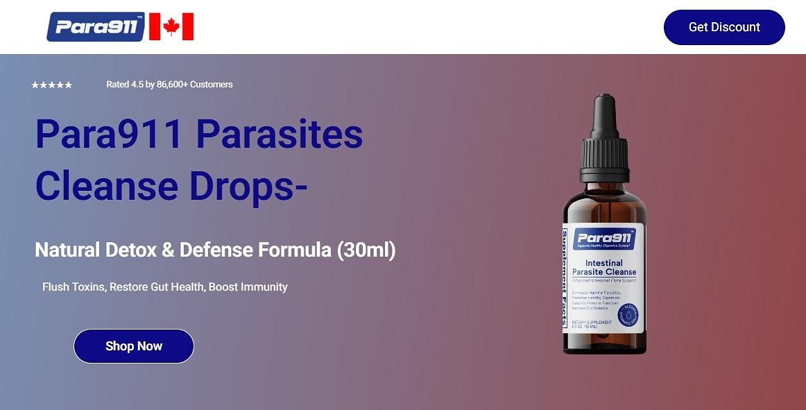 Giải đáp - Para 911 (Reviews 2026): Effective Ingredients & Safe To Use | Diễn đàn kế toán Việt Nam Giải đáp - Para 911 (Reviews 2026): Effective Ingredients & Safe To Use | Diễn đàn kế toán Việt Nam